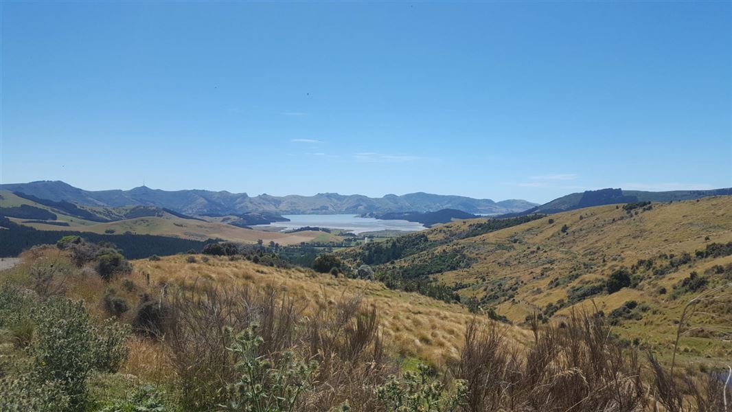 View from Gebbies pass to Packhorse hut track.