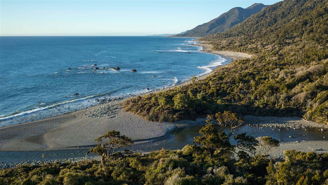 Hautai Marine Reserve coastline. 