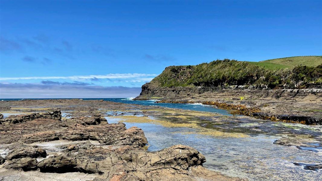 Rock pools at Petrified Forest Walk.