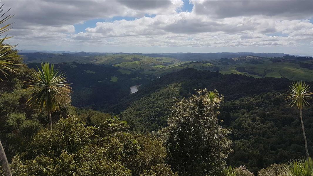 View from Mt Auckland/Atuanui. 