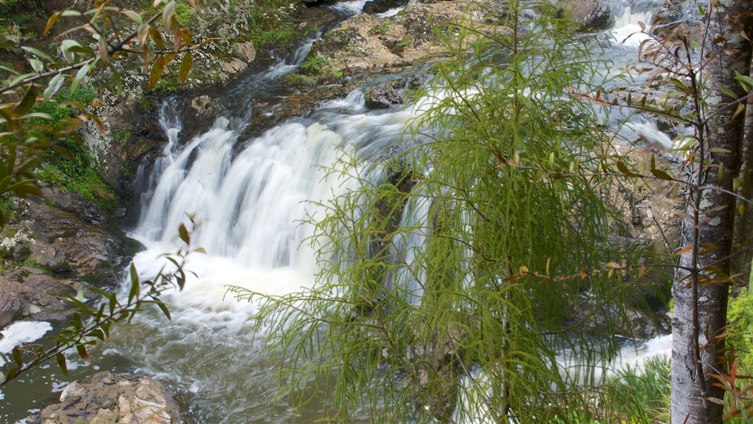 Taheke Falls. 