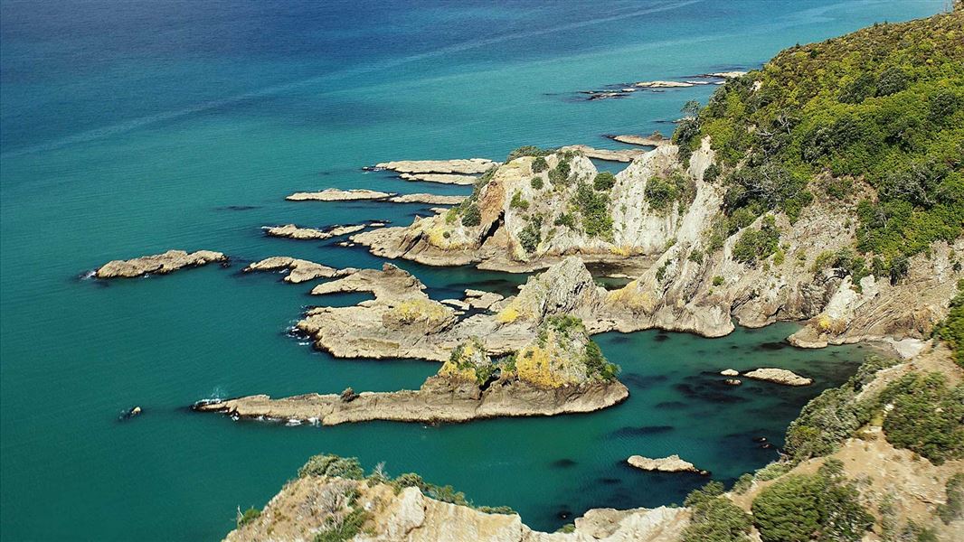 Kohi Point, Whakatanae. 