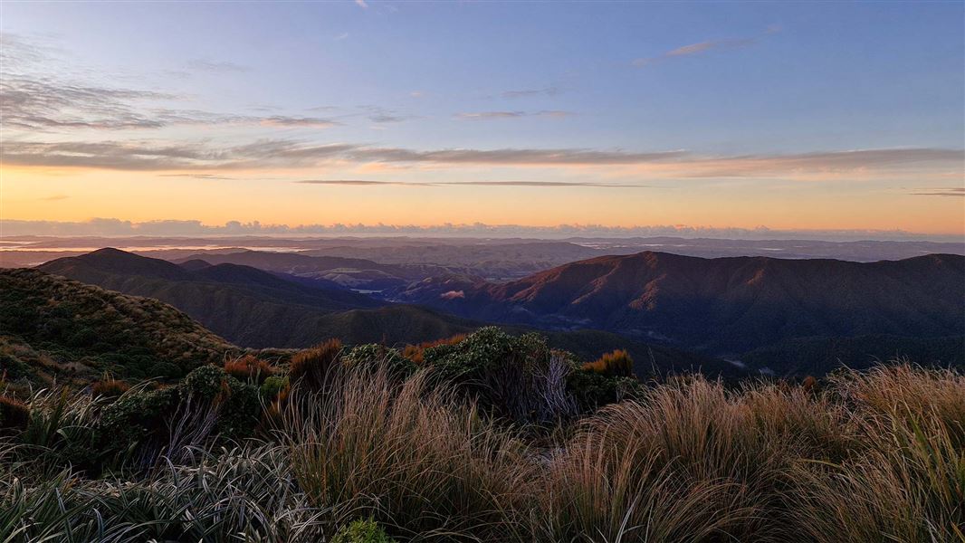 View from Cattle Ridge 