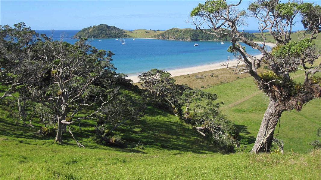 Mimiwhangata Coastal Park.