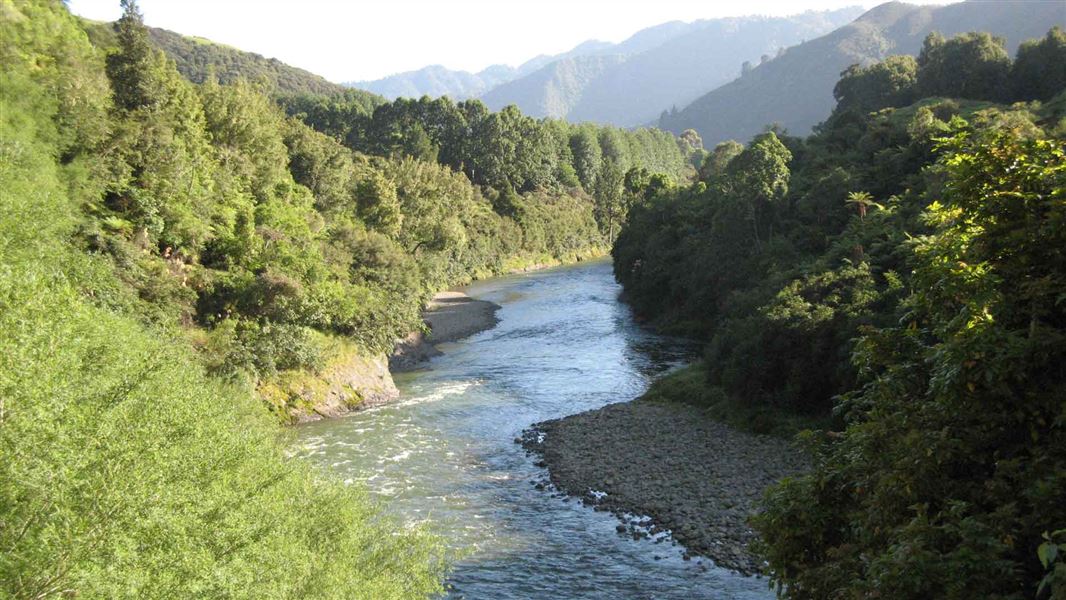 Waioeka River. 