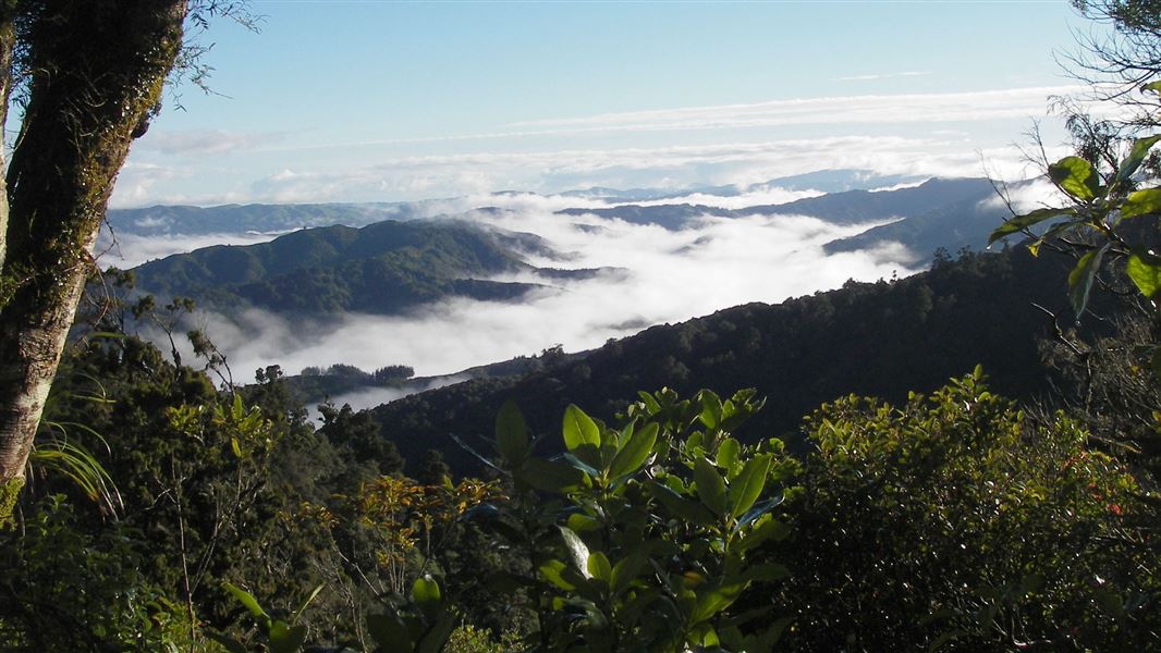 Misty mountains viewed from the Whakanui Track. 