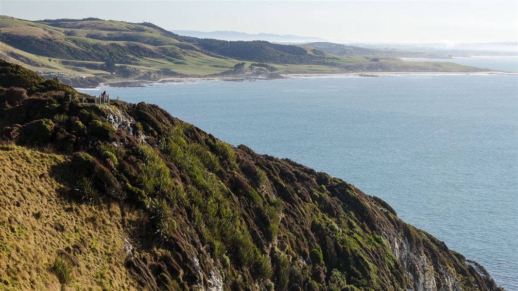 Nugget Point viewing platform