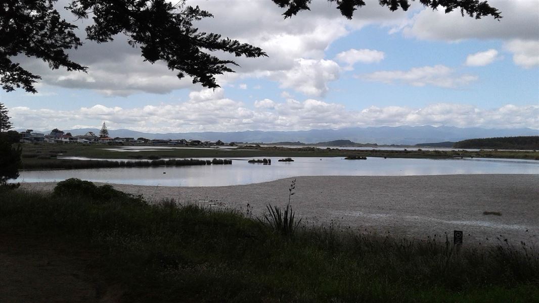 View of estuary with houses in the distance. 