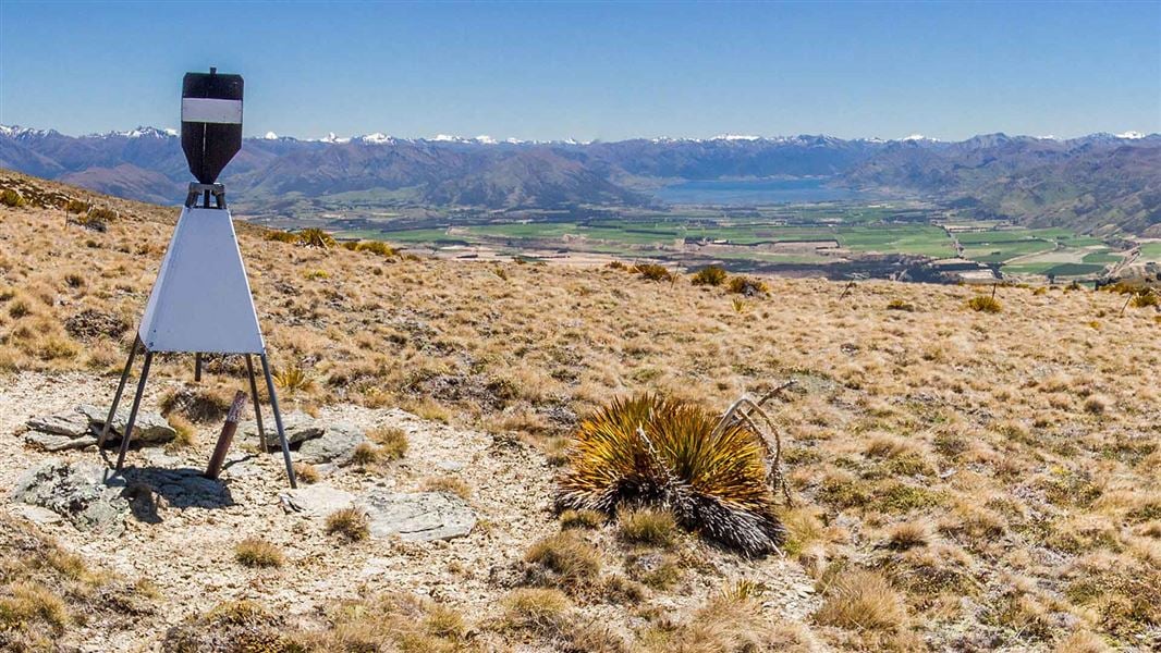 View of the Upper Clutha basin. 