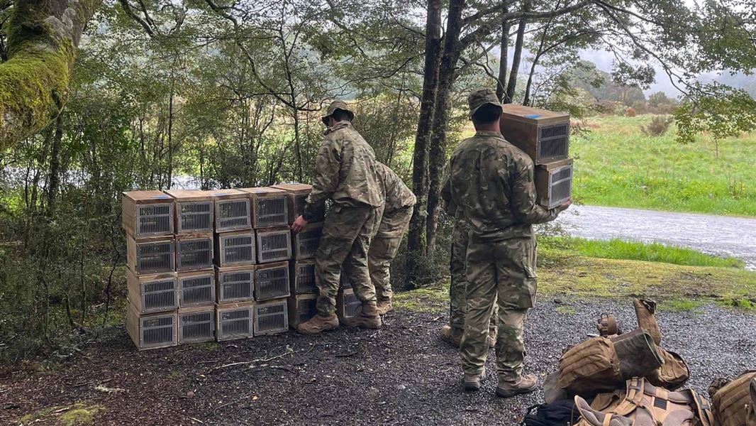 Soldiers in uniform moving predator traps. 