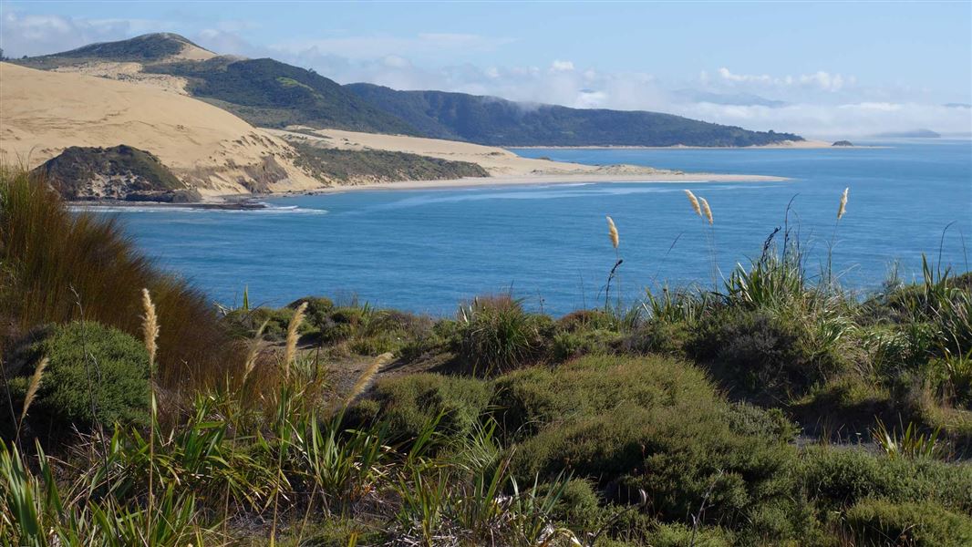 View of ocean from Signal Station Track. 