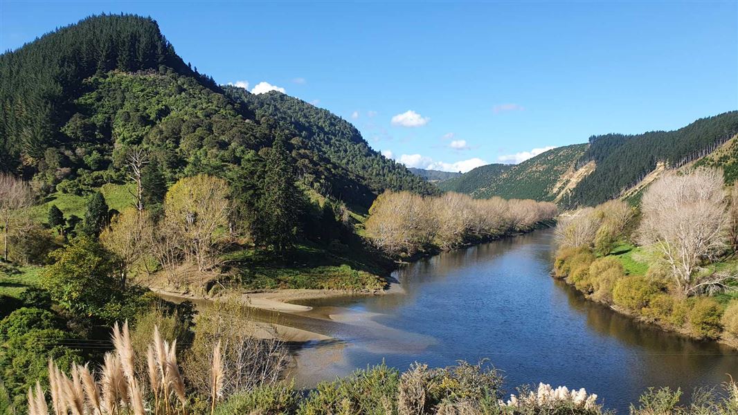 A picture of a river surrounded by lush greenery on a sunny day.