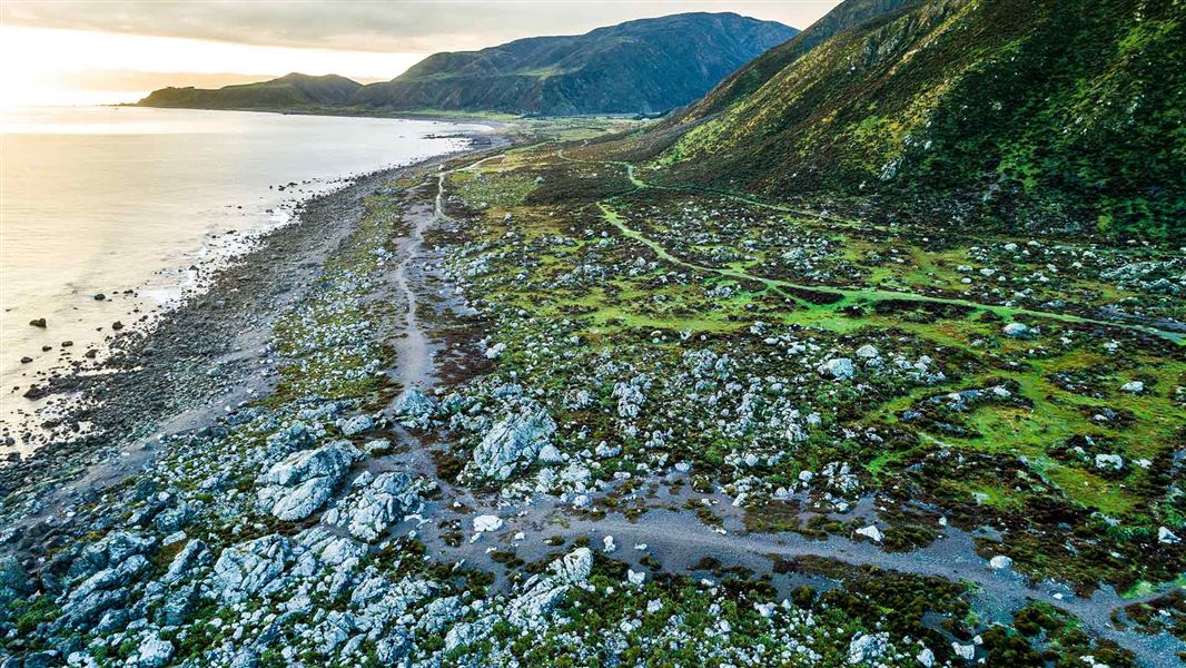 Coastline with rocks, sand and grasses.