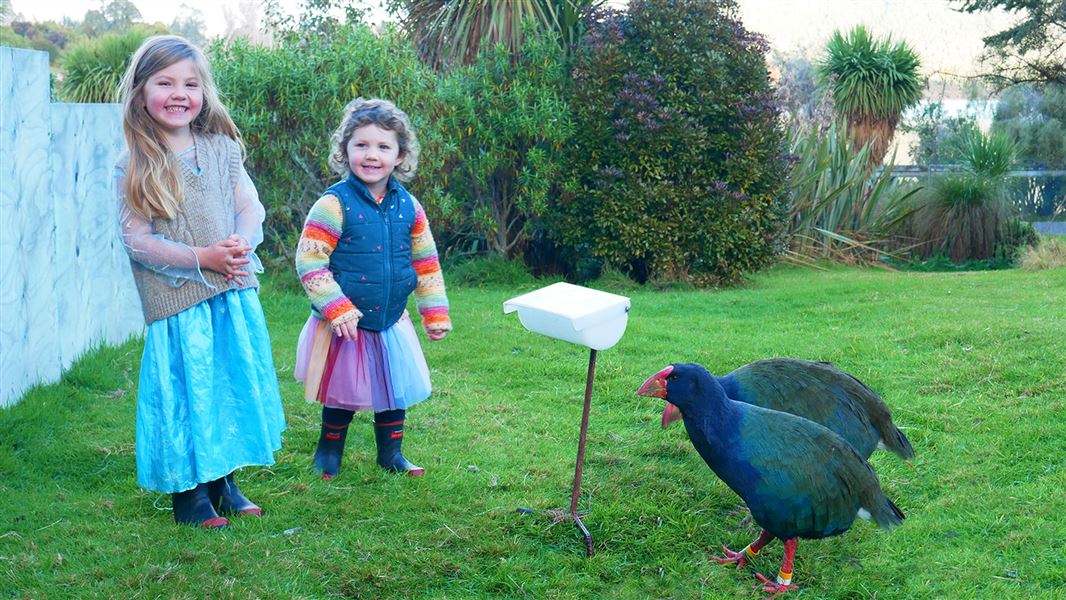 Children with takahē at  Te Anau Bird Sanctuary/Te Punanga Manu o Te Anau