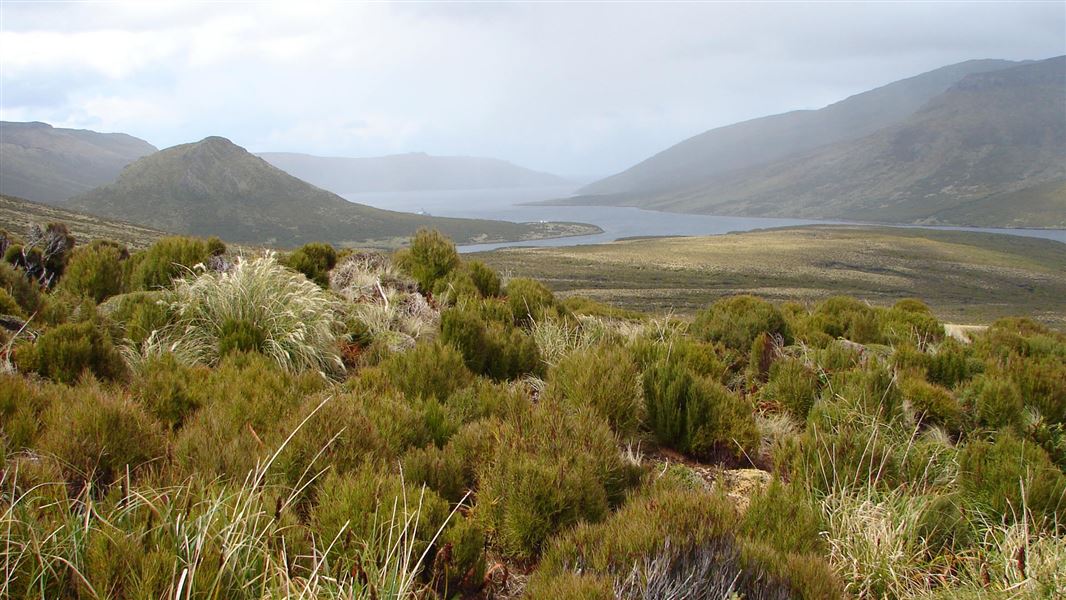 View from Campbell Island