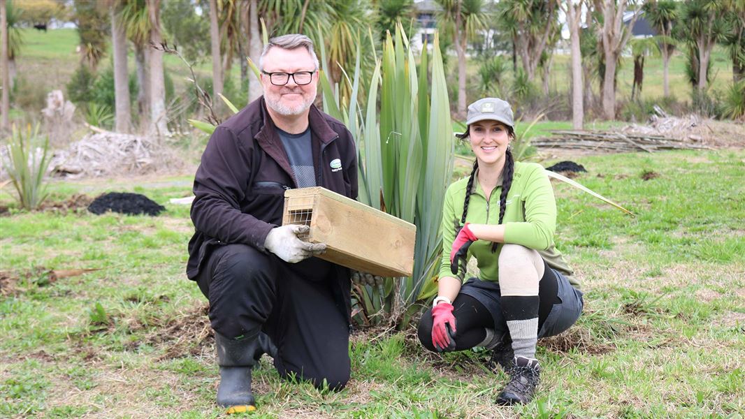 Two people crouch by a flax bush while holding a wooden trap box.