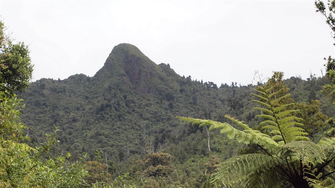 Knob of Titiraupenga peaking through the trees.