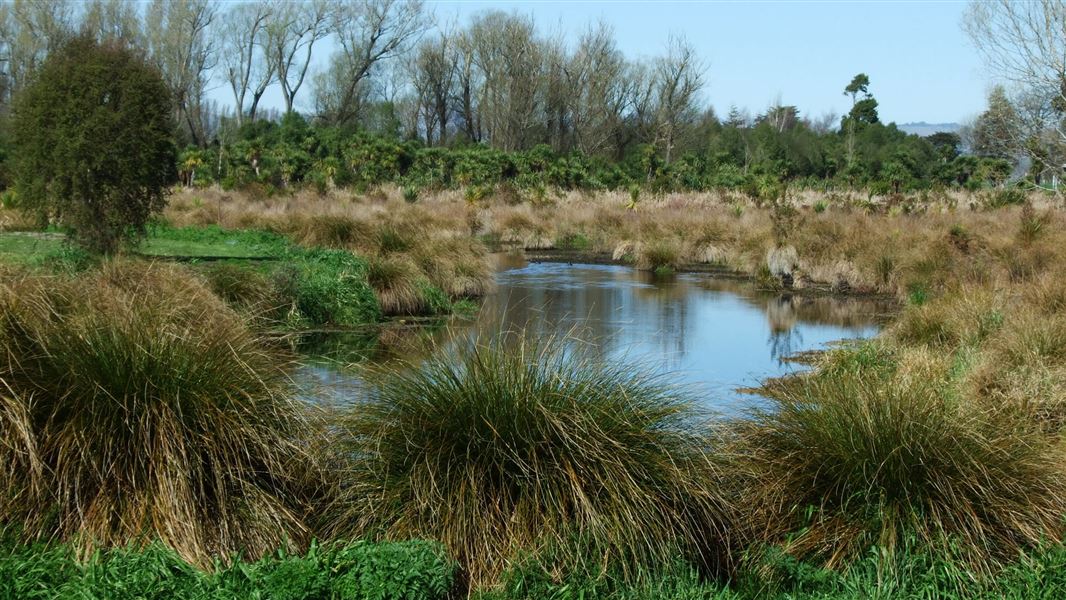 Ōtukaikino wetland.