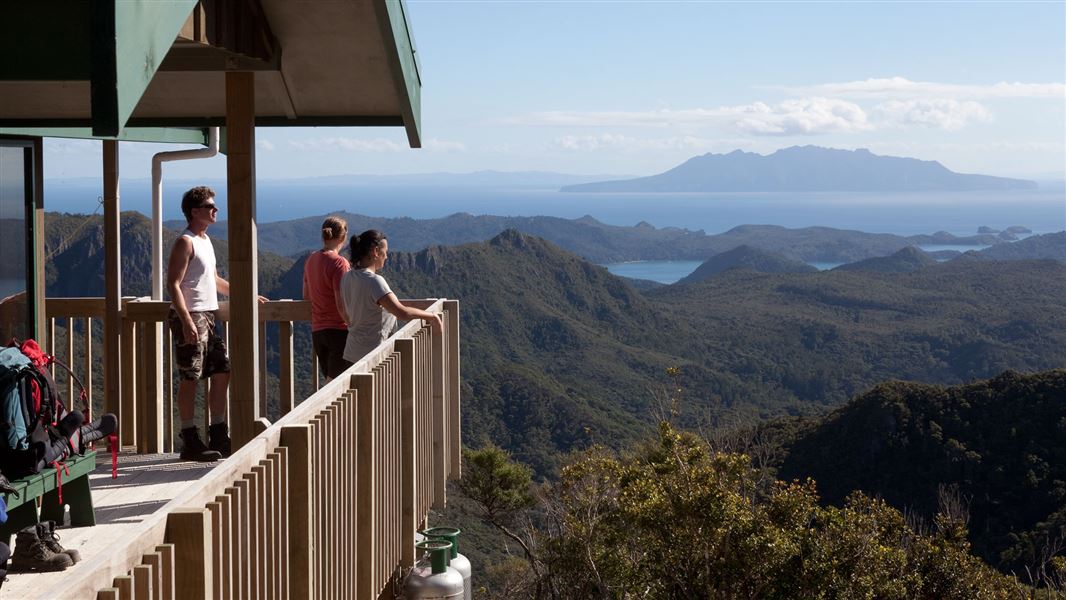 View from Mt Heale Hut