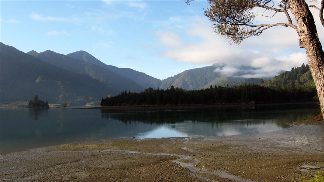 Nydia Bay campsite. 