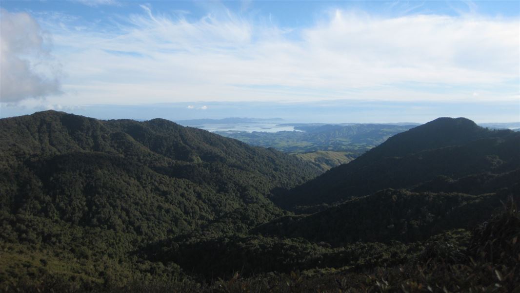 Hihikiwi lookout, Pirongia. 