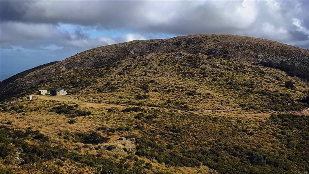 Mt Bee Bunkrooms in distance. 