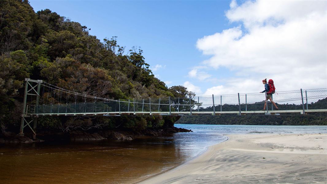 Swingbridge, Maori Beach, Rakiura Track.