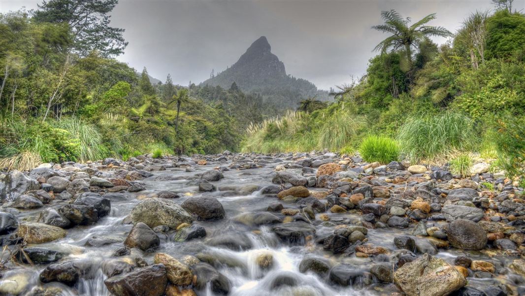 Maratoto Valley. 