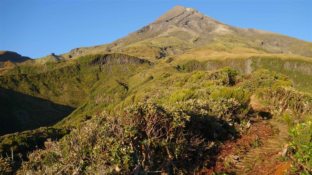 Mt Taranaki from Maketawa Hut Circuit. 