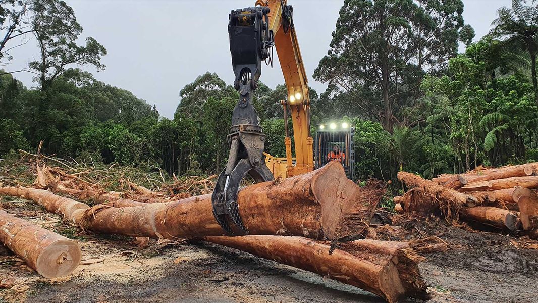 A yellow digger with a tree grabber arm moves fallen trees around.