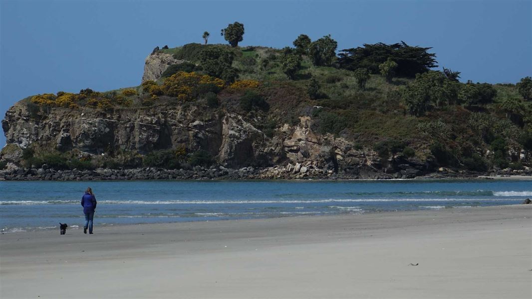 Purakaunui Bay beach. 