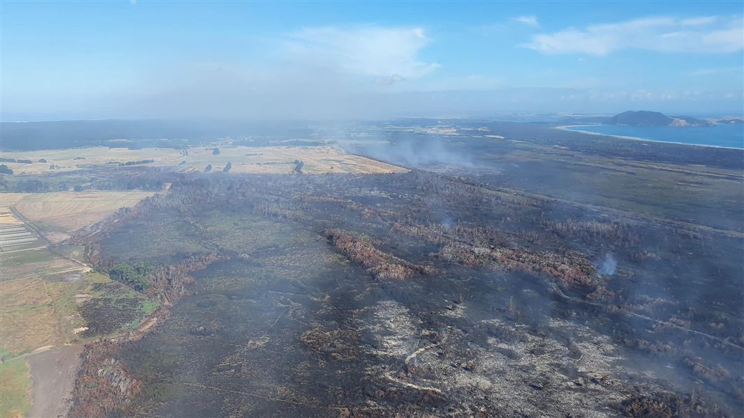 Burnt ground at the peatland fire in Kaimaumau wetland in 2022.