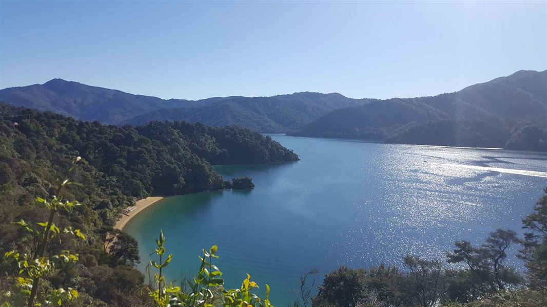 Governors Bay, Queen Charlotte Sound. 