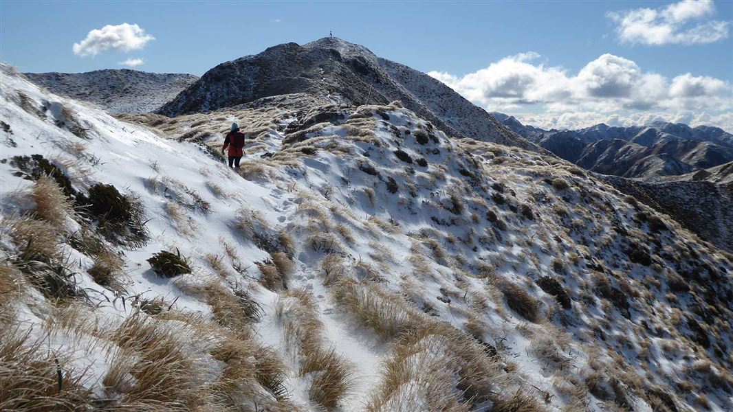 Tramper in the snow on the way up to the summit of Mount Holdsworth. 