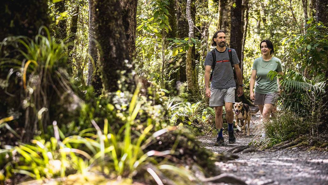 Day walkers on Atiwhakatu Track