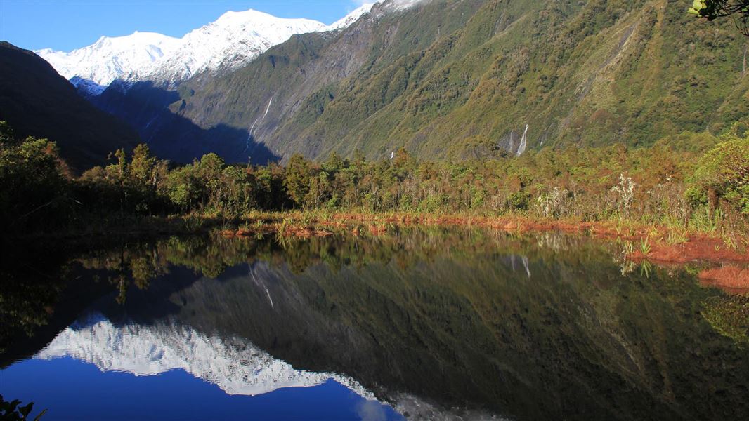 Reflections in Peters Pool.