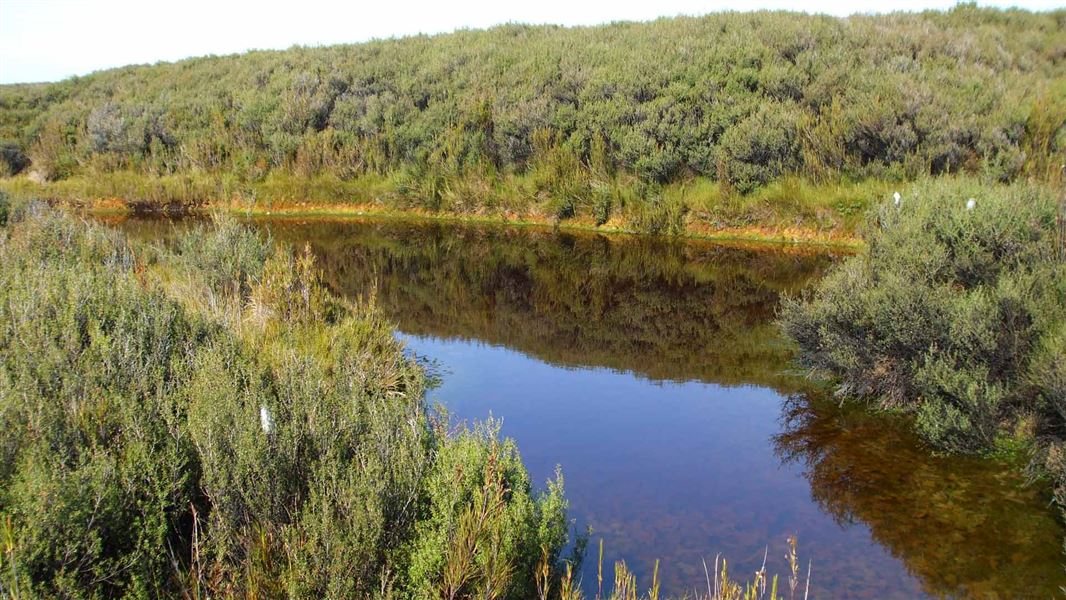 Rainbow tarn at Waituna. 