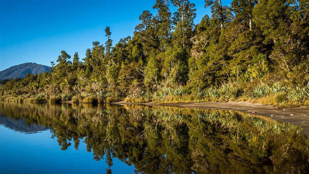 Lake Paringa Conservation Campsite Haast Paringa And Moeraki Rivers Area West Coast Region