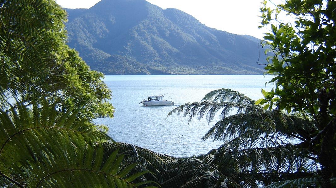 Putanui viewpoint