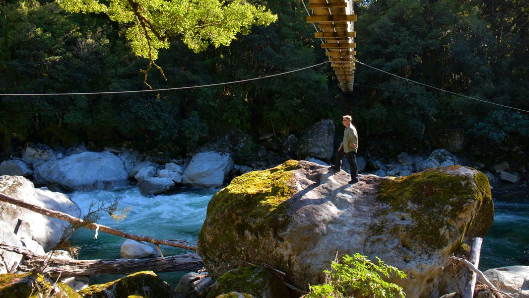 Swingbridge over the Hollyford River