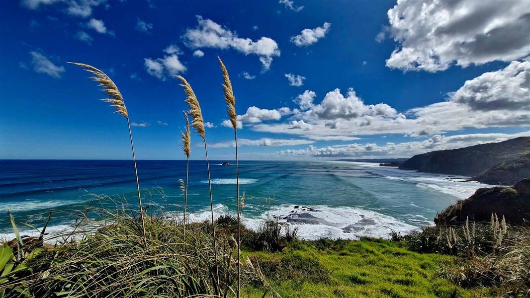 Tirikohua Point looking north.