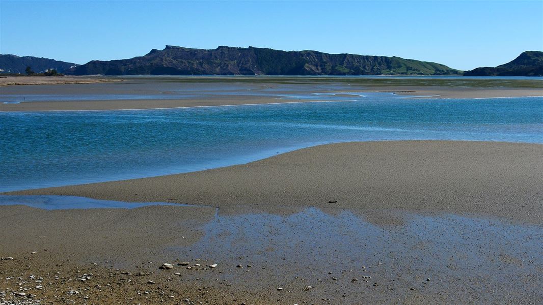 Westhaven Estuary. 