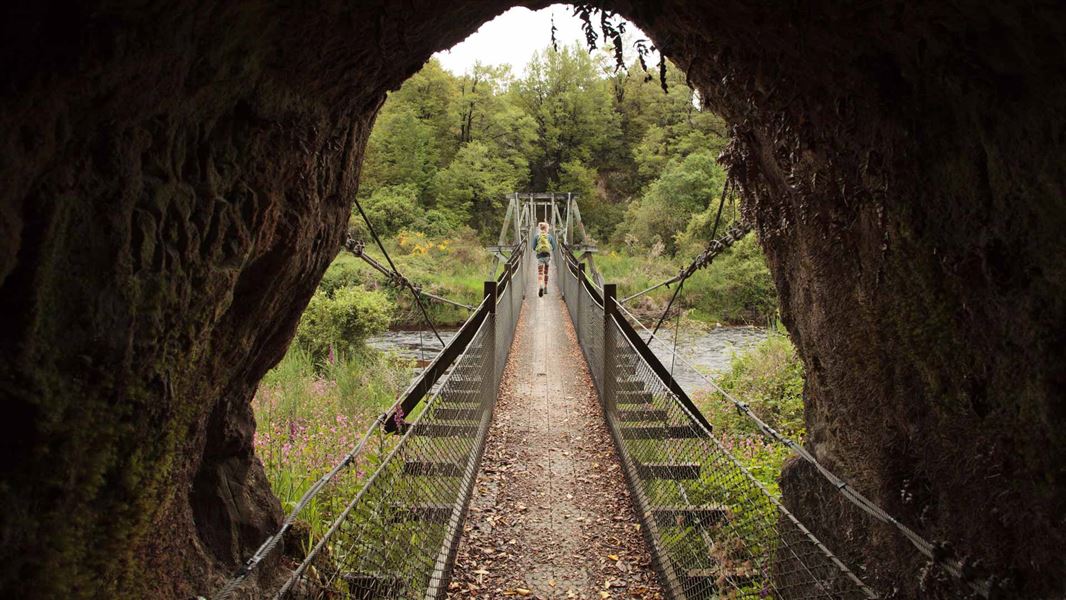 Nelson Creek suspension bridge.