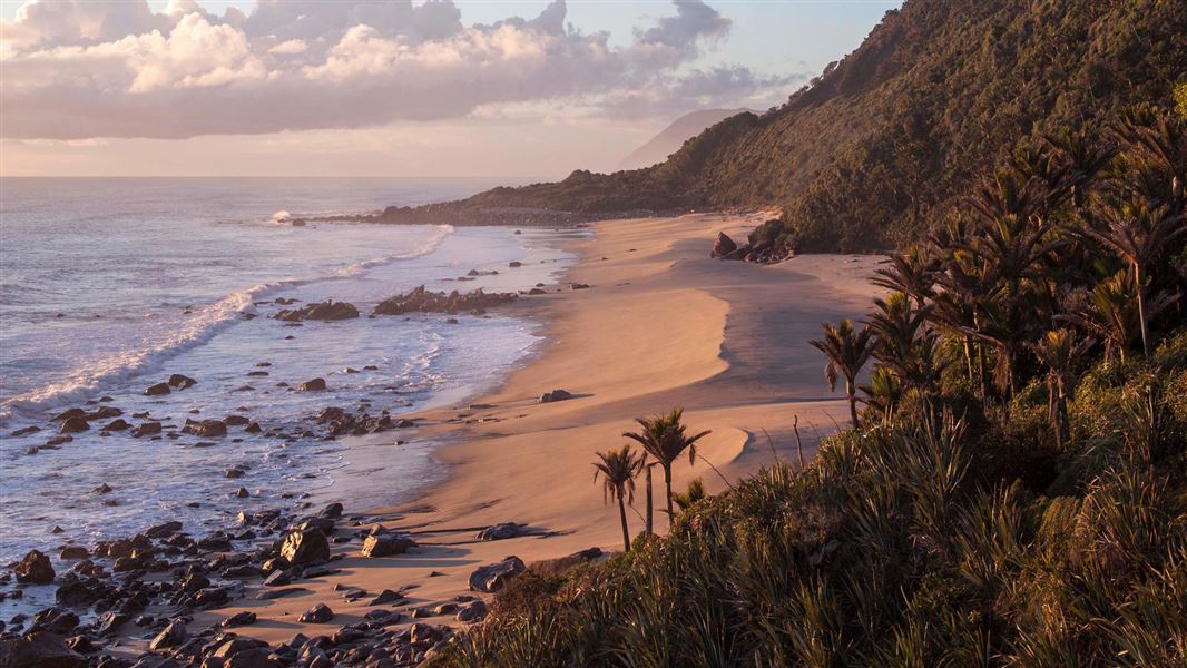 Kahurangi Marine Reserve coastline