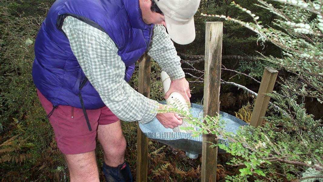 Seed monitoring