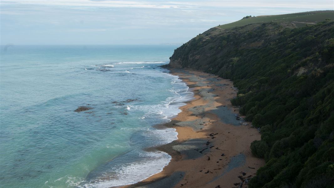 Bushy Beach from viewing platform. 