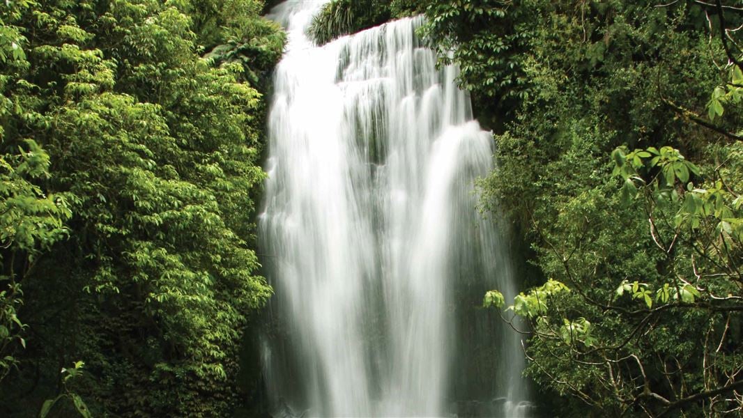 Waitangaru Falls