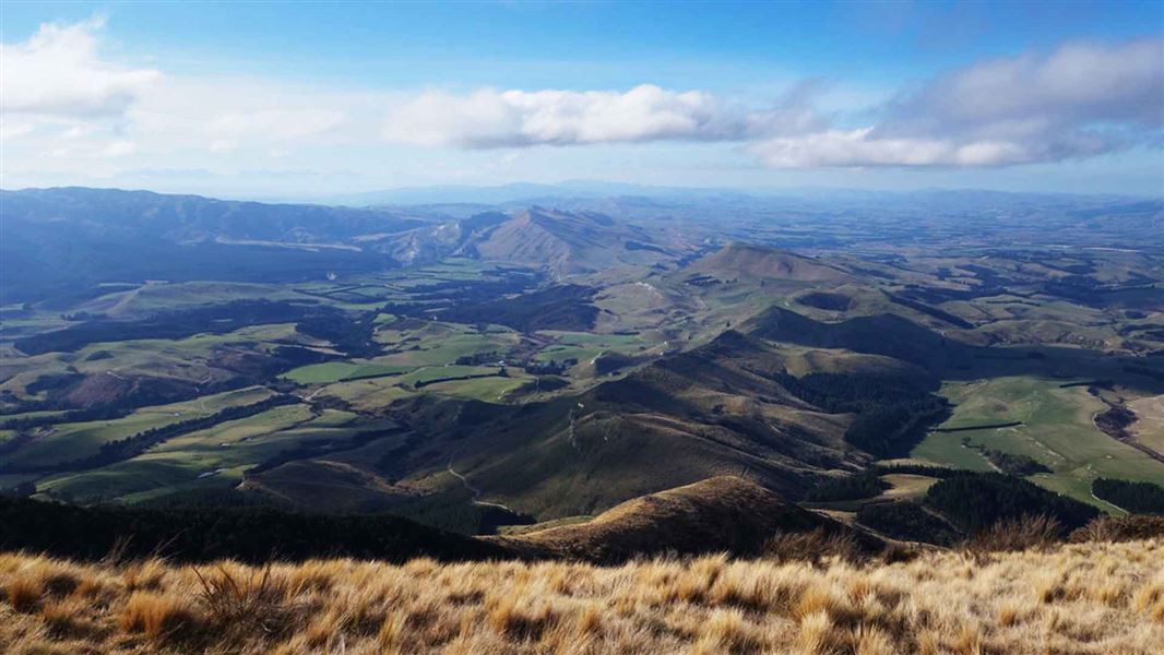 View from Mt Grey/Maukatere. 