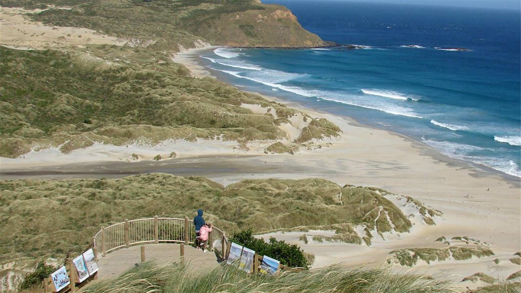 Sandfly Bay, Otago Peninsula