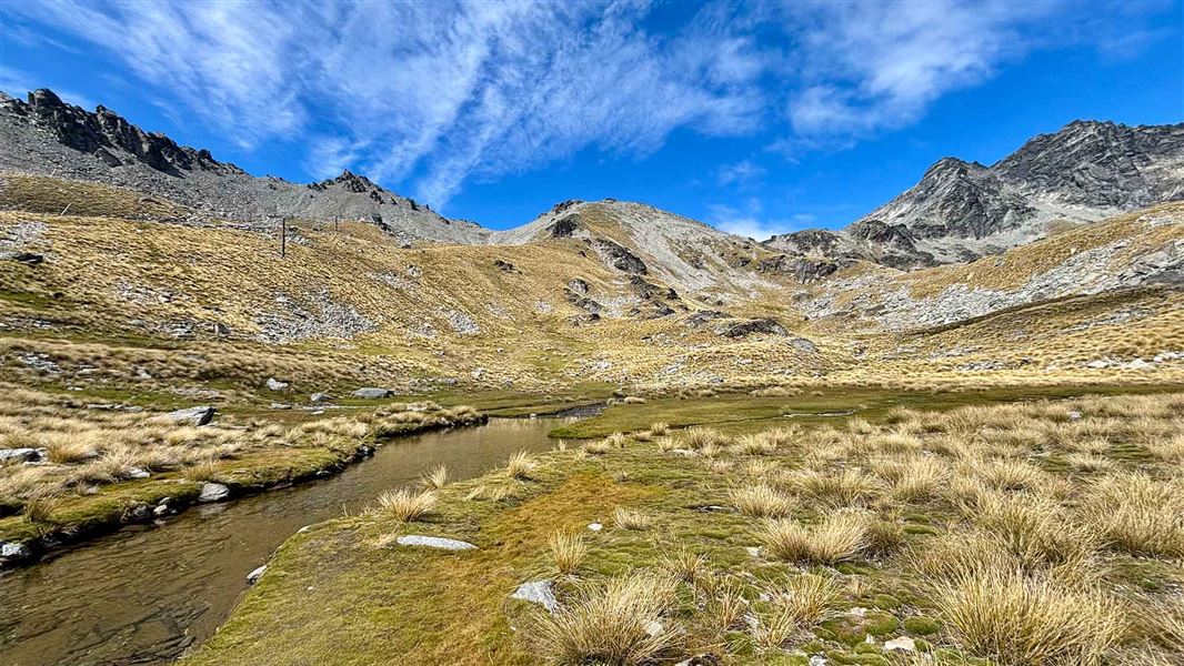 Lake Alta Track